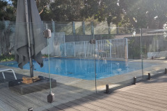 Pool Frameless Glass Fence and Gate